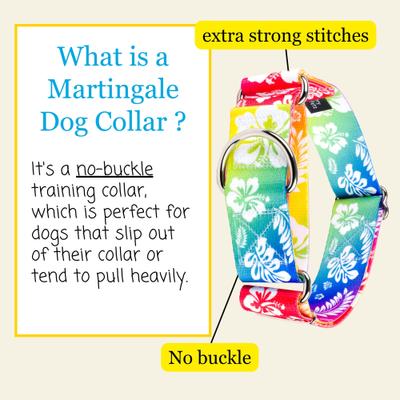 Show full view: Country Brook Petz HossFit Jr Hawaiian Rainbow Wide Martingale Dog Collar, X-Large slide 4 of 9