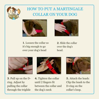 Show full view: Country Brook Petz HossFit Jr Busy Bee Wide Martingale Dog Collar, Medium slide 6 of 9