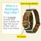 Show in main carousel: Country Brook Petz HossFit Jr Wide Martingale Dog Collar, Southern Forest, Medium slide 6 of 9