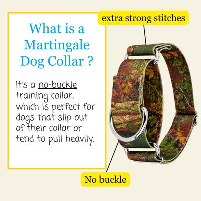 Show full view: Country Brook Petz HossFit Jr Wide Martingale Dog Collar, Southern Forest, Medium slide 6 of 9