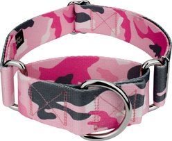 Country Brook Petz HossFit Jr Wide Martingale Dog Collar, X-Large, Pink & Grey