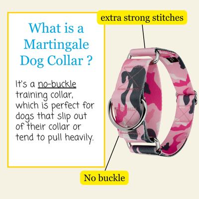 Show full view: Country Brook Petz HossFit Jr Wide Martingale Dog Collar, X-Large, Pink & Grey slide 4 of 9