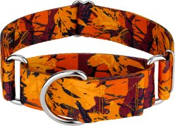 Country Brook Petz HossFit Jr Wide Martingale Dog Collar, Orange Sunset, Large