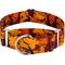 Show in main carousel: Country Brook Petz HossFit Jr Wide Martingale Dog Collar, Orange Sunset, Large slide 1 of 9