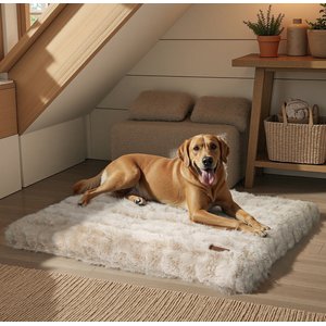 BingoPaw Fluffy Deluxe Plush Dog Bed with Removable Cover, Beige, XXX-Large