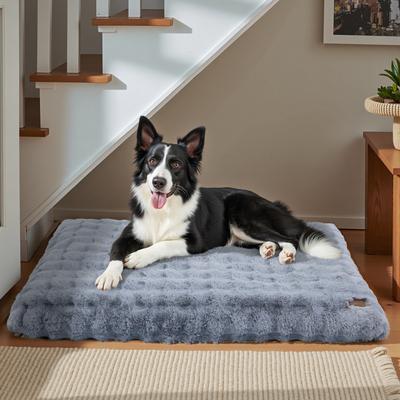 Show full view: BingoPaw Fluffy Deluxe Plush Dog Bed with Removable Cover, Grey, XX-Large slide 4 of 10