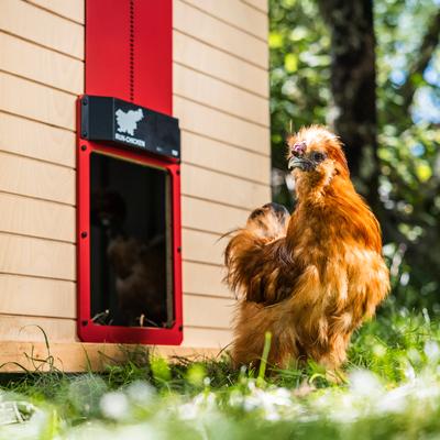 Show full view: Run Chicken Classic Automatic Chicken Coop Door, Red slide 8 of 9