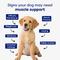 Show in main carousel: Aniwell Power Pack Hip & Joint Formula & Muscle Formula Chew Supplement for Dogs, 60 count slide 5 of 9