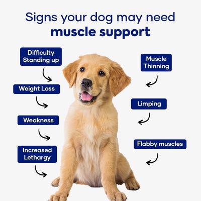 Show full view: Aniwell Power Pack Hip & Joint Formula & Muscle Formula Chew Supplement for Dogs, 60 count slide 5 of 9