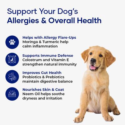 Show full view: Aniwell ImmunoFlo Chew Allergy Supplement for Dogs, 30 count slide 6 of 9