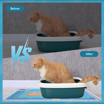 Show full view: Happy & Polly Summer Pool Cat Litter Mat slide 7 of 9