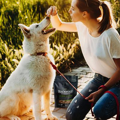 Show full view: Blackwood Single Ingredient 100% Lamb Liver Grain-Free Adult Freeze-Dried Dog Treats, 3-oz bag slide 6 of 7