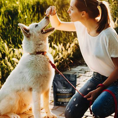 Show full view: Blackwood Single Ingredient 100% Chicken Breast Grain-Free Adult Freeze-Dried Dog Treats, 3-oz bag slide 6 of 8