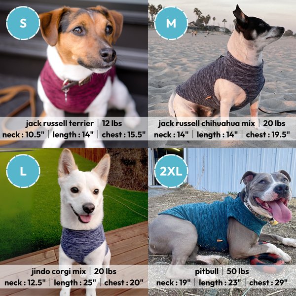 Show full view: Gooby Zip-Up Fleece Dog Vest, Gray Wash, Large: 20-in chest slide 5 of 5