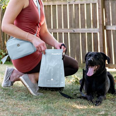 Show full view: Puppington Greenest Pup Compostable Dog Poop Bags, Ice Blue, 6 Rolls slide 6 of 9