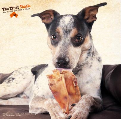 Show full view: The Treat Shack Natural Pig Ears Slivers Dog Chew Treat, Small, 8-oz bag slide 8 of 10