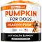 Show in main carousel: StrellaLab Pumpkin High Fiber Powder Stool Consistency & Softener Supplement for Dogs, 8.1-oz jar slide 1 of 9