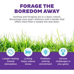 Outward Hound Lickin' Layers Interactive Puzzle Game & Slow Feeder, Multicolor, One-Size, 2 cup