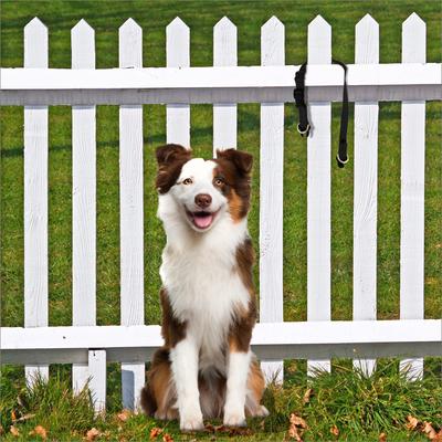 Show full view: PetSafe Keep Safe Nylon Breakaway Dog Collar, Black, Medium: 14 to 20-in neck, 1-in wide slide 2 of 6