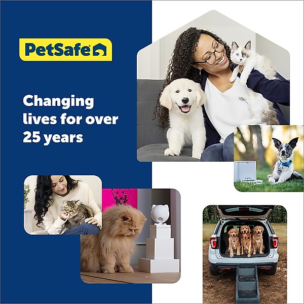PetSafe Keep Safe Nylon Breakaway Dog Collar