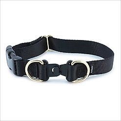 PetSafe Keep Safe Nylon Breakaway Dog Collar, Black, Medium: 14 to 20-in neck, 1-in wide