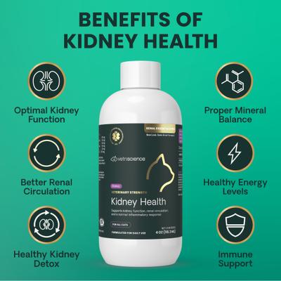 Show full view: VetriScience Veterinary Strength Kidney Health Renal Essentials Pro Creamy Chicken Flavored Liquid Kidney Supplement for Cats, 4-fl oz bottle slide 7 of 10