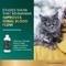 Show in main carousel: VetriScience Veterinary Strength Kidney Health Renal Essentials Pro Creamy Chicken Flavored Liquid Kidney Supplement for Cats, 4-fl oz bottle slide 4 of 10