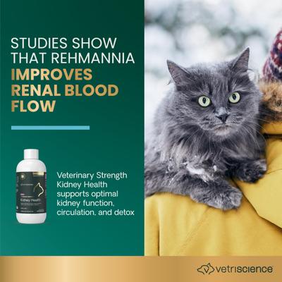 Show full view: VetriScience Veterinary Strength Kidney Health Renal Essentials Pro Creamy Chicken Flavored Liquid Kidney Supplement for Cats, 4-fl oz bottle slide 4 of 10