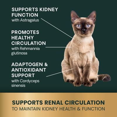 Show full view: VetriScience Veterinary Strength Kidney Health Renal Essentials Pro Creamy Chicken Flavored Liquid Kidney Supplement for Cats, 4-fl oz bottle slide 6 of 10