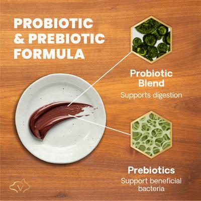 Show full view: VetriScience Fast Balance G.I. Paste Medication for Digestive Issues for Cats & Dogs, 60-cc slide 7 of 12