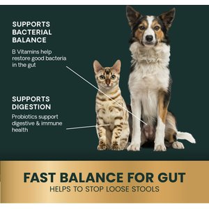 VetriScience Fast Balance G.I. Paste Medication for Digestive Issues for Cats & Dogs, 60-cc