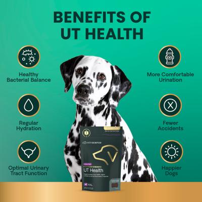 Show full view: VetriScience Veterinary Strength UT Health Chicken Flavored Chews UT Strength Pro Bladder & Urinary Tract Supplement for Dogs, 60 count slide 7 of 11