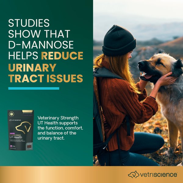 VetriScience Veterinary Strength UT Health Chicken Flavored Chews UT Strength Pro Bladder & Urinary Tract Supplement for Dogs