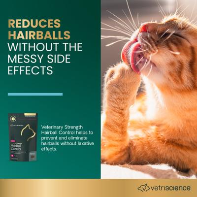 Show full view: VetriScience Veterinary Strength Hairball Control Chicken Flavored Chews Omega-3 Hairball Supplement for Cats, 60 count slide 4 of 10