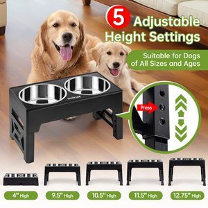 EliteField Adjustable Height Dog Bowl, Black