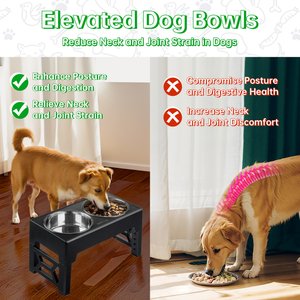 EliteField Adjustable Height Dog Bowl, Black