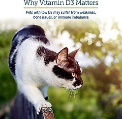 Rx Vitamins Rx D3 Pure Cholecalciferol Vitamin Liquid Supplement for Dogs & Cats, 2-fl oz bottle slide 2 of 7