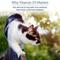 Show in main carousel: Rx Vitamins Rx D3 Pure Cholecalciferol Vitamin Liquid Supplement for Dogs & Cats, 2-fl oz bottle slide 5 of 8