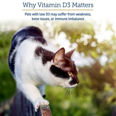 Show full view: Rx Vitamins Rx D3 Pure Cholecalciferol Vitamin Liquid Supplement for Dogs & Cats, 2-fl oz bottle slide 5 of 8