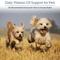 Show in main carousel: Rx Vitamins Rx D3 Pure Cholecalciferol Vitamin Liquid Supplement for Dogs & Cats, 2-fl oz bottle slide 3 of 8