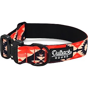 CIRCLE T Latigo Leather Town Standard Dog Collar, Large: 22-in