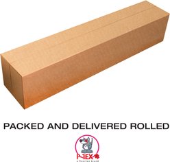 Floortex P-Tex Anti-Microbial Carpet Floor Protector Dog Mat, Fresh Mist, 36 x 48-in slide 2 of 5