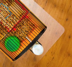 Floortex P-Tex Anti-Microbial Floor Protector Dog Mats, Fresh Mist, 19 x 24-in, 2 count