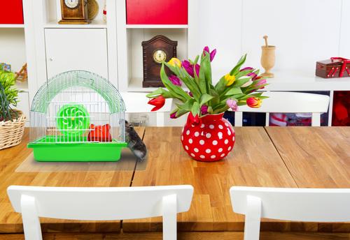 Show full view: Floortex P-Tex Anti-Microbial Floor Protector Dog Mats, Fresh Mist, 19 x 24-in, 2 count slide 5 of 7