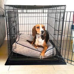 Floortex P-TEX Floor Barrier Dog Crate Mat, Black, XX-Large: 50 x 32-in
