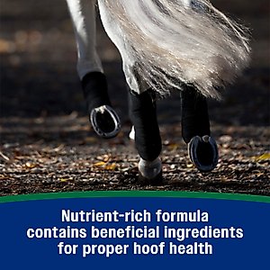 Farnam Horseshoer's Secret Pelleted Hoof Supplement, 11-lb bucket, 30 Day Supply
