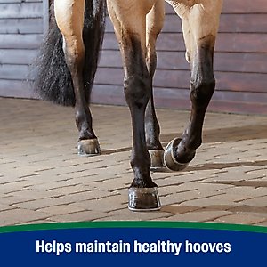 Farnam Horseshoer's Secret Pelleted Hoof Supplement, 11-lb bucket, 30 Day Supply