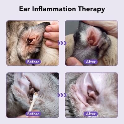 Show full view: HICC PET Antibacterial Cat & Dog Ear Rinse with Cotton Swabs, 4-fl oz bottle slide 8 of 9