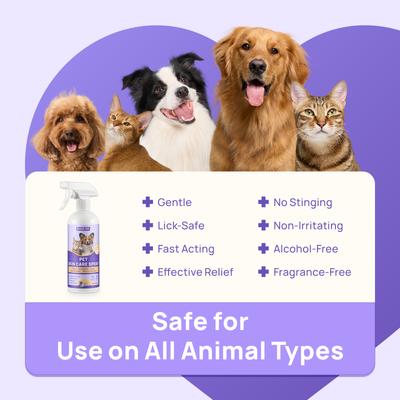 Show full view: HICC PET Skin Care Relief Cat & Dog Spray, 16-fl oz bottle slide 7 of 11