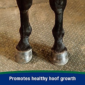 Farnam Horseshoer's Secret Pelleted Hoof Supplement, 11-lb bucket, 30 Day Supply